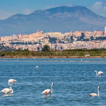 La Palma Cagliari