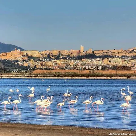 La Palma דירה *